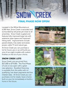 Snow Creek Brochure - Unit 2