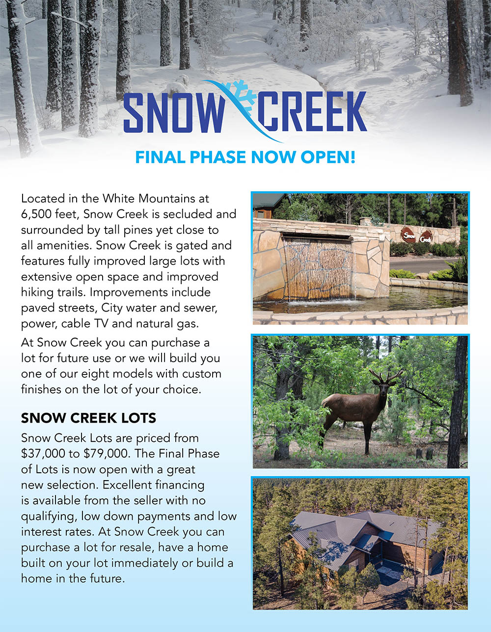 337233 Snow Creek Brochure